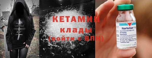 гидра Вязьма