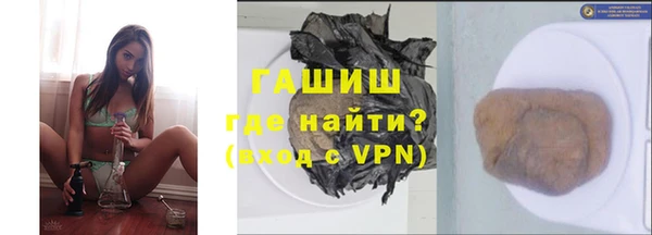 гидра Вязьма