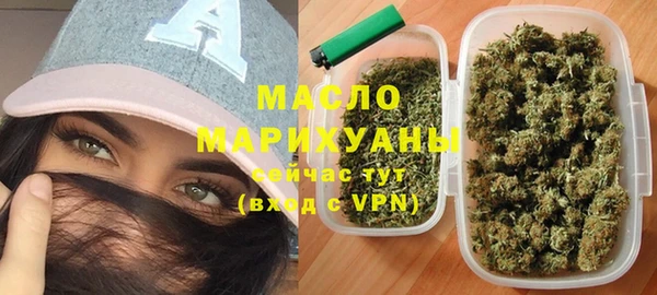 гидра Вязьма