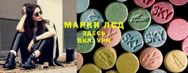 ПСИЛОЦИБИНОВЫЕ ГРИБЫ Тайга