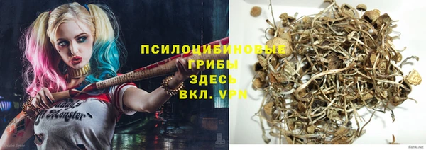 гидра Вязьма