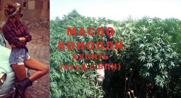 гидра Вязьма